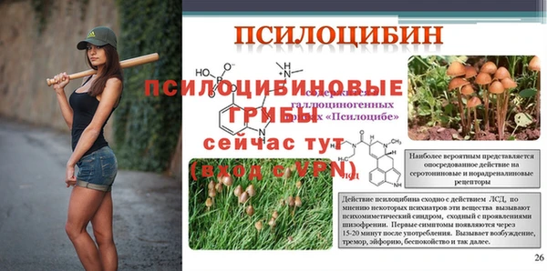 стафф Заводоуковск