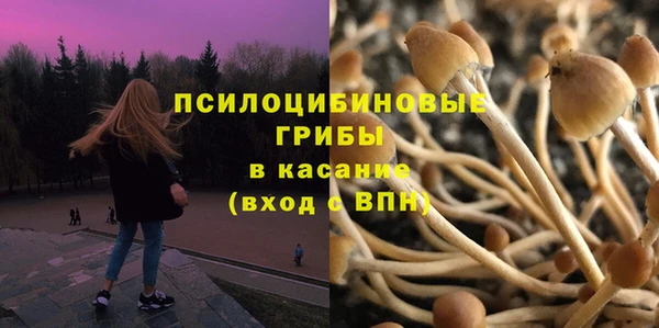 кокс Алзамай